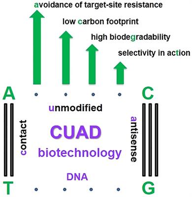 Contact unmodified antisense DNA (CUAD) biotechnology: list of pest species successfully targeted by oligonucleotide insecticides